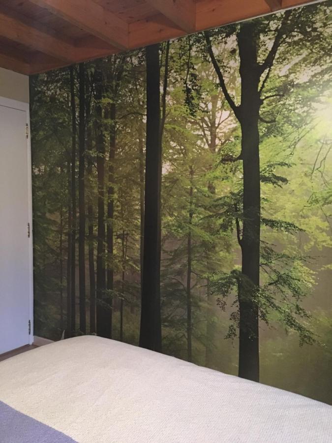 Arduena - Het Ardennetje Villa Blaimont Exteriör bild