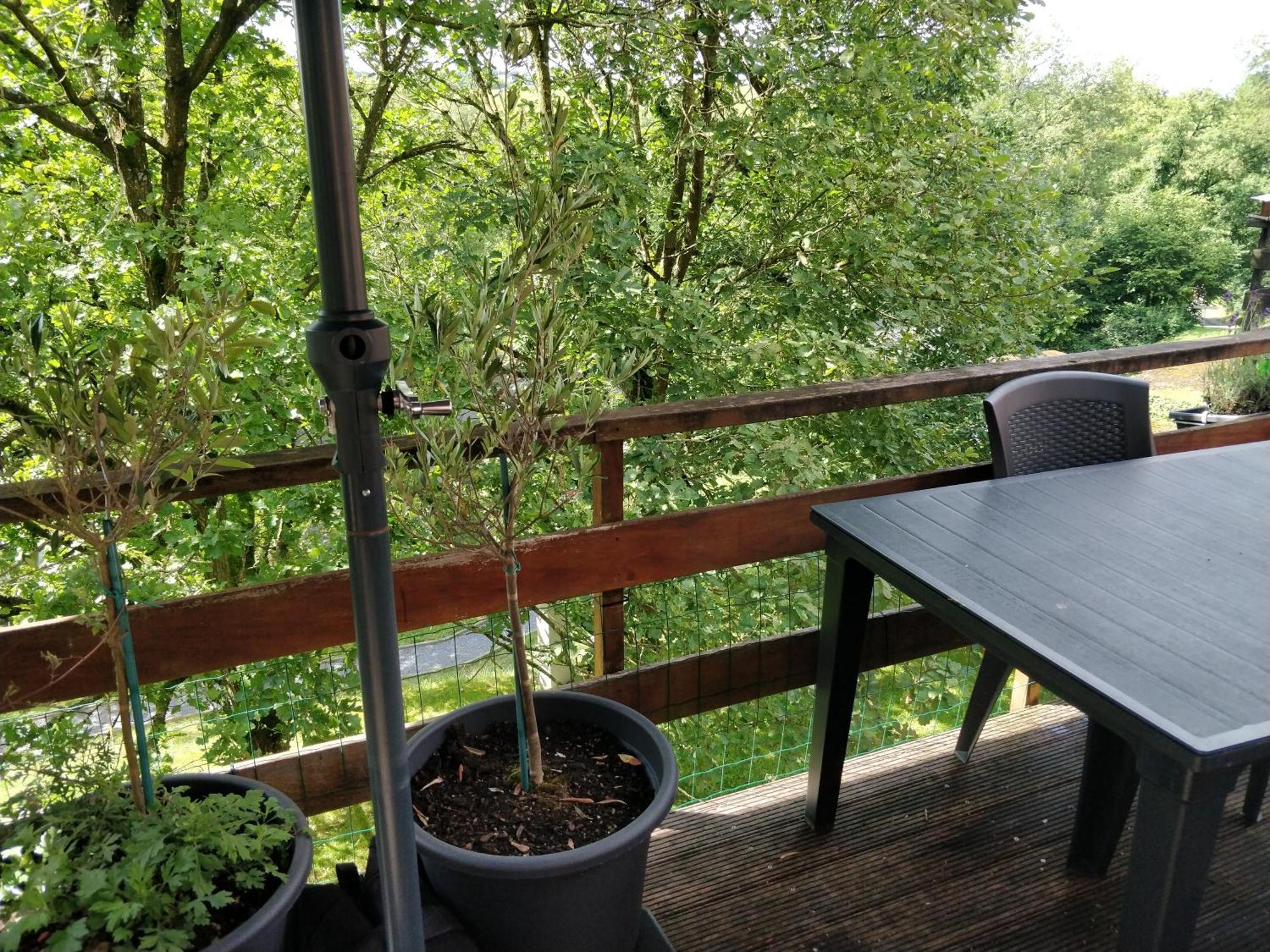 Arduena - Het Ardennetje Villa Blaimont Exteriör bild